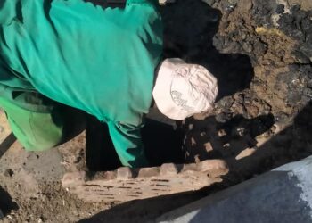 رئاسة حى تان طنطا دكتور محمود عيسى واستعدادات تامة لاستقبال موسم الشتاء