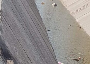  الأهمال والأستهانة بحقوق الدولة واهدار أموالها