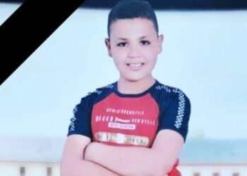 إسماعيل السيد