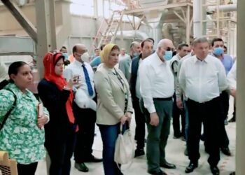 وزير قطاع الأعمال