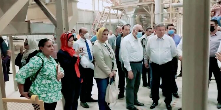 وزير قطاع الأعمال