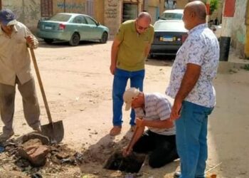 مدينة المحمودية