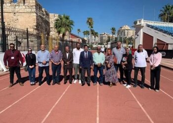 الميني فوتبول