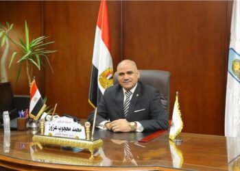 رئيس جامعة الأقصر