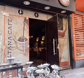 تحرير 279 محضر