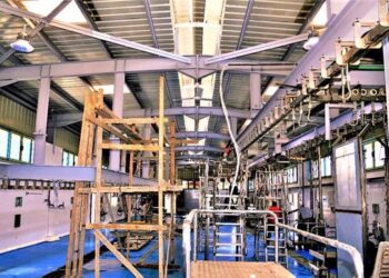 افتتاح المجزر في أعياد