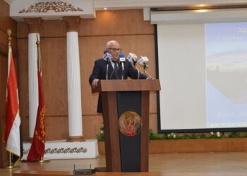 إنشاء مضرب أرز