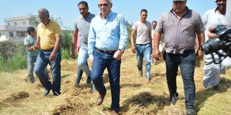 محافظ بورسعيد يشهد موسم حصاد الأرز بأحد الحقول الزراعية جنوب بورسعيد.