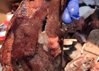 حملات تفتيشية ومكثفة من الهيئة القومية لسلامة الغذاء