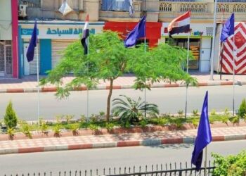 تنفيذ ٣٥٢٨ مشروع خلال ثلاث اعوام بتكلفة تتجاوز ٧٢ مليار جنية بالبحيرة