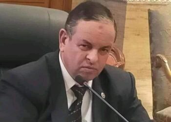 جمارك مطار القاهرة الدولي تضبط محاولة تهريب كمية من الشعر الطبيعي.