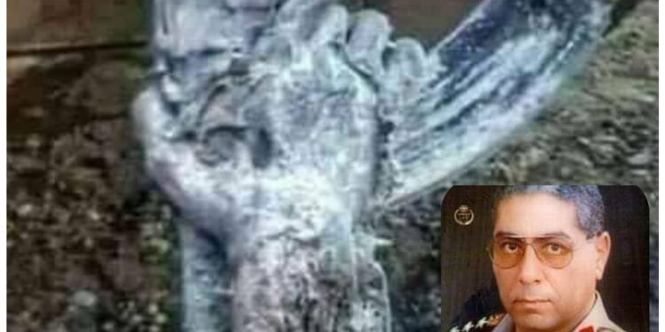 من بين سطور النصر