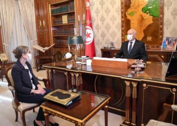 قيس سعيد يستقبل رئيسة الحكومة بقصر قرطاج