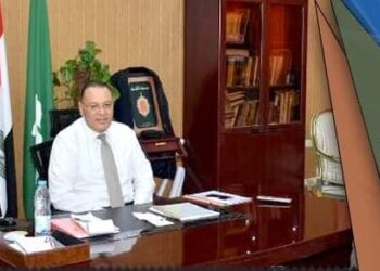 محافظ الشرقية يُتابع أعمال إنشاء حائط ساند لبحر فاقوس بشارع سعد زغلول