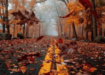 غريب عن الحياة