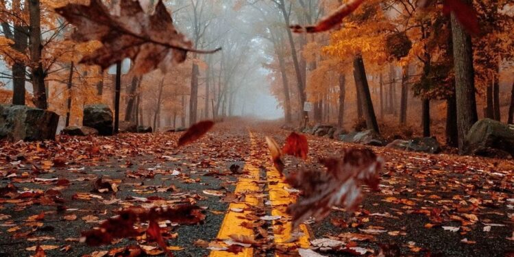 غريب عن الحياة