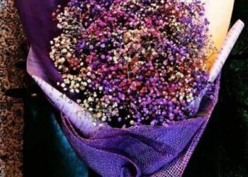 شُهداء وطنَّا