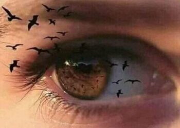 هبه من السماء