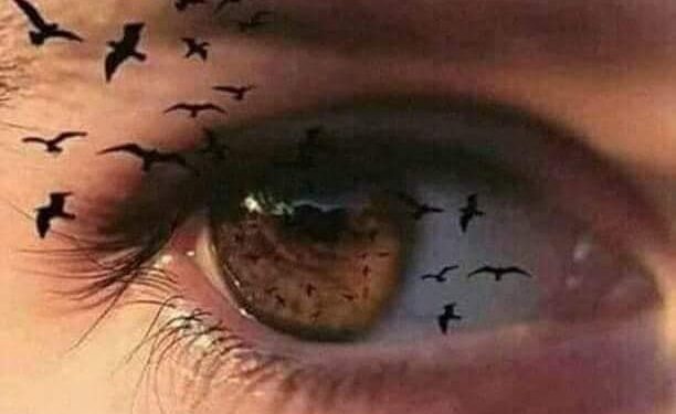 هبه من السماء