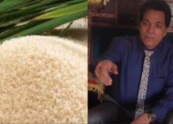 رئيس منظمة الحق  يُشيد