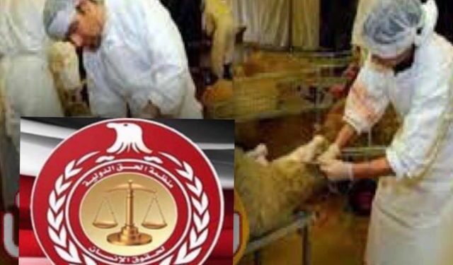 حظر السلطات البلجيكية