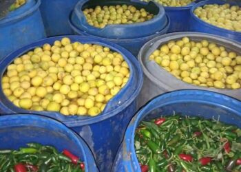 ضبط مصنع مخلل غير صالح للاستهلاك الادمى بدنوشر بالمحلة الكبرى