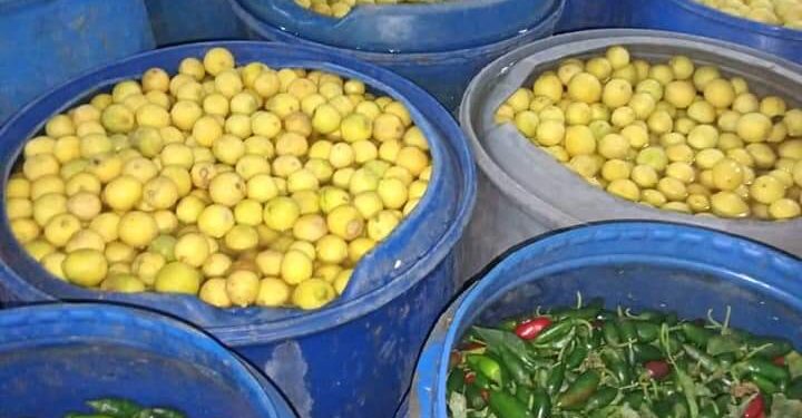 ضبط مصنع مخلل غير صالح للاستهلاك الادمى بدنوشر بالمحلة الكبرى