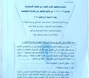 ننشر حيثيات الحكم القضائى بإعادة الشمرلى وهويدا إلى سباق انتخابات الطائرة