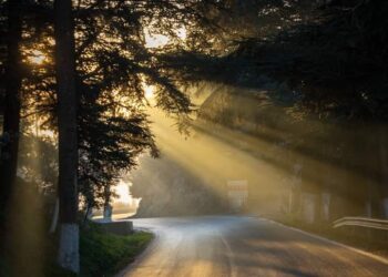 رحلة إلى الصمت