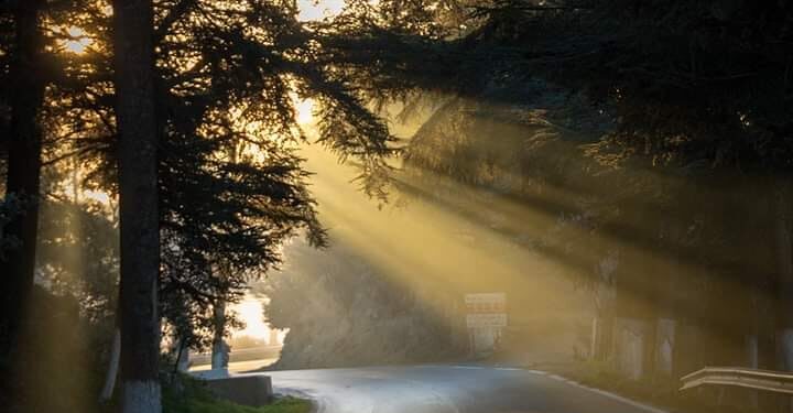 رحلة إلى الصمت