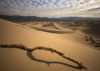 حين يبتسم السراب