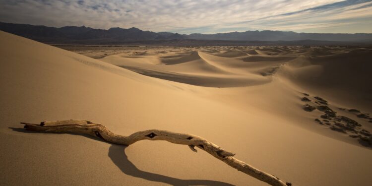 حين يبتسم السراب