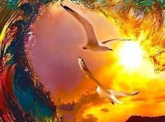 لا تبغى بين الفناء خلود