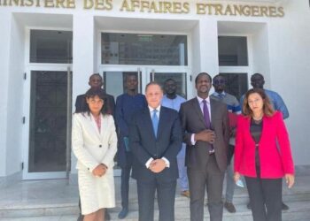 مساعد وزير الخارجية للشئون