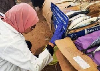 بيطري الشرقية