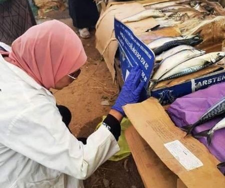 بيطري الشرقية