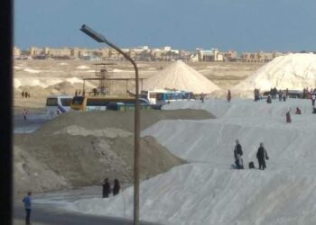 ملاحات بورفؤاد تستقبل رحلات من ابناء المحافظات المجاورة 