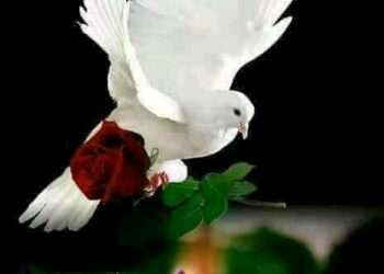 أيا قاتلي رفقا!!