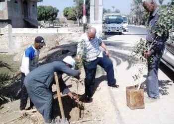 محافظ سوهاج الاهتمام بأعمال التشجير ..