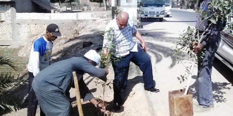  محافظ سوهاج الاهتمام بأعمال التشجير ..