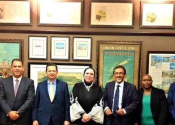 تعزيز التعاون الاقتصادى المشترك بين مصر وجنوب أفريقيا.