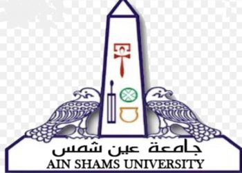 ” فنيات إدارة جلسة التغذية الراجعة” ورشة عمل بآثار عين شمس.