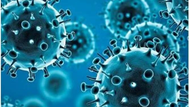 اخبار كورونا  “انتشار متحور جديد من متحور دلتا والمعروف باسم AY.4.2”