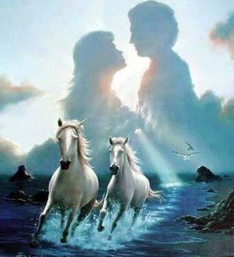 لهفة إسدال الستار ..