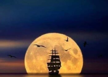 أصداء الليل