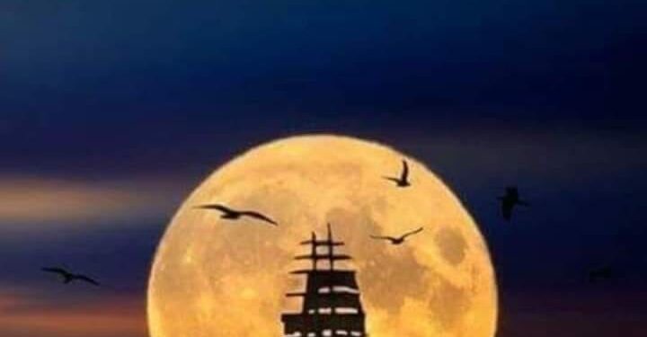 أصداء الليل