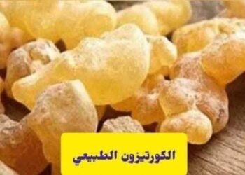 الكورتيزون الطبيعي