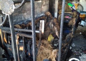 ماس كهربائي