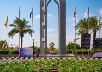 الدكتور ممدوح مهدى .. ضرورة تفعيل الأنشطة الطلابية