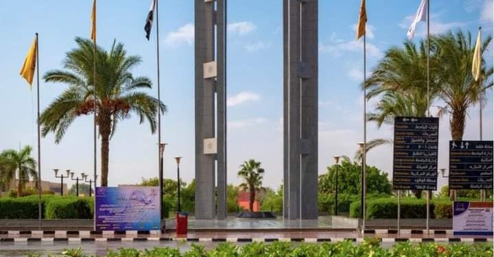 الدكتور ممدوح مهدى .. ضرورة تفعيل الأنشطة الطلابية